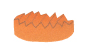 carrot coin 2